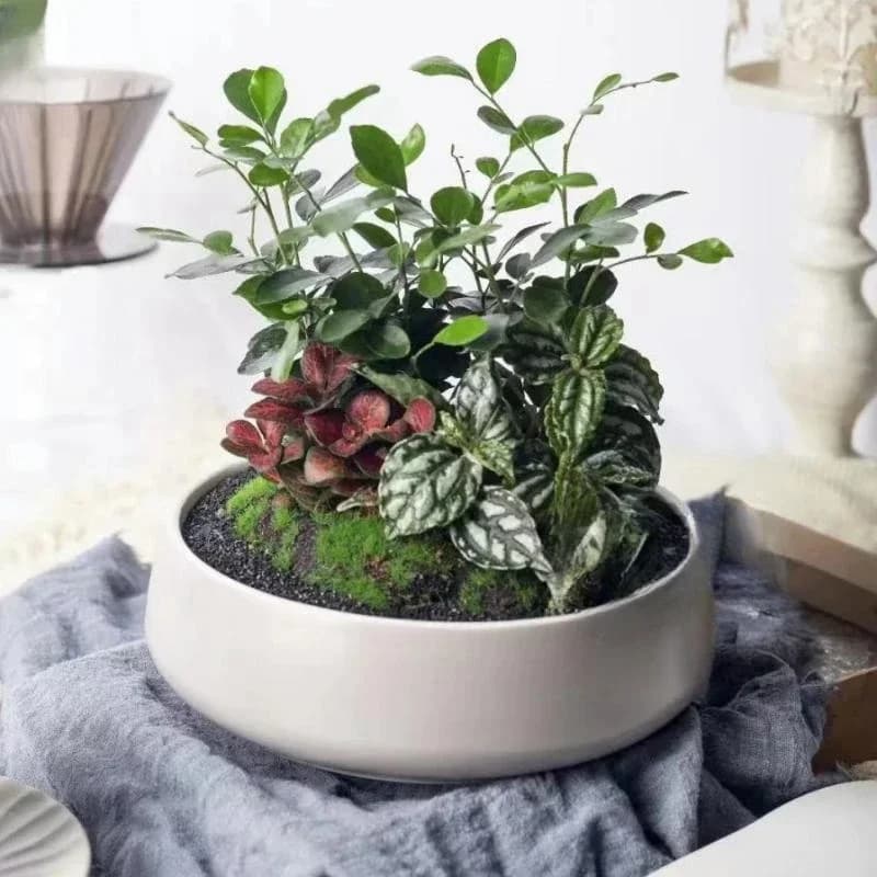 2026Large Round Concrete Flower Pot Mold Silicone Planting Tray Gypsum Storage Bowl For Succulents Plaster Garden Crafting Mould