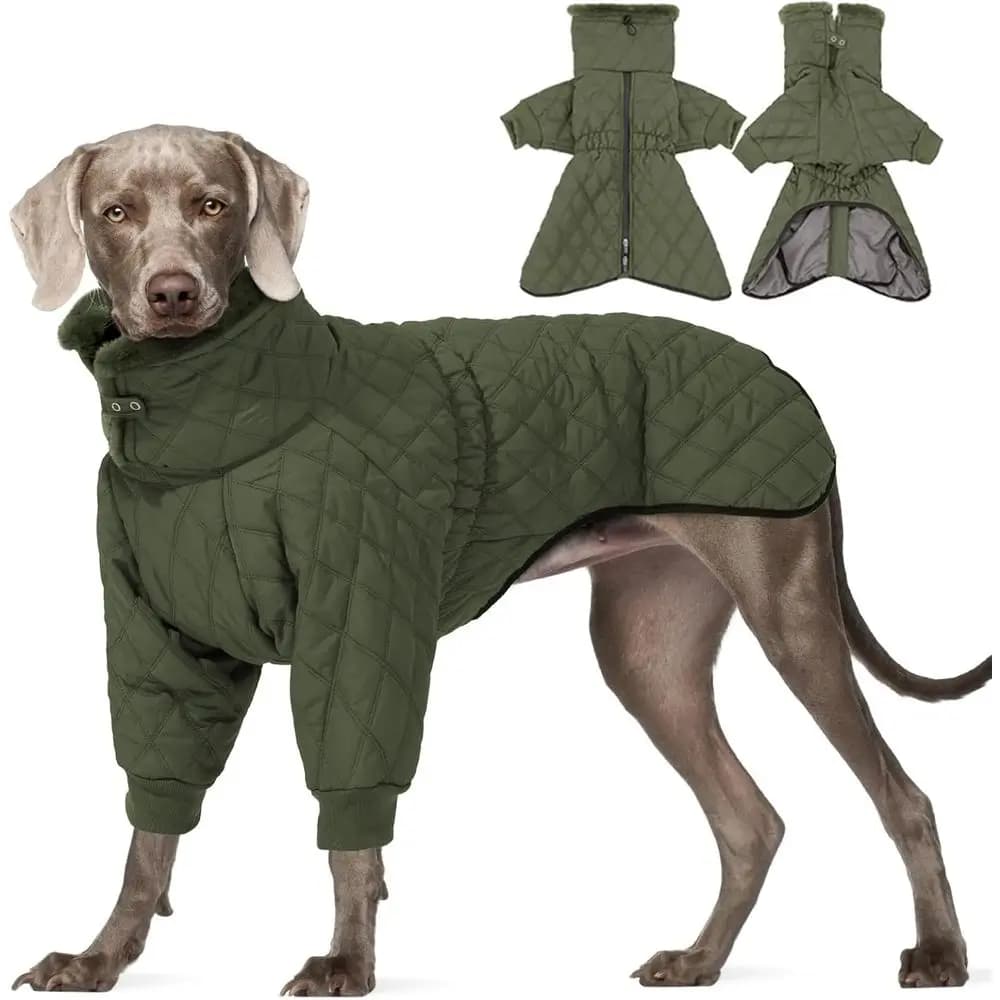 Cappotto Invernale Verde per Cani di Taglia Grande con Collo Alto e Design con Cerniera per Protezione dal Freddo
