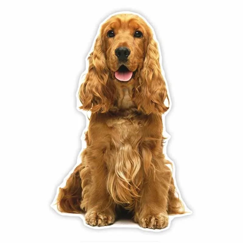 Car Sticker Colorful Cute Cocker Spaniel Funny Stickers Styling Waterproof Sunscreen Decal Vinyl Car Accessories 17cm PVC KK