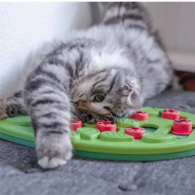 Ciotola natalizia per animali domestici Ciotola per cibo lento per gatti Strumento puzzle per animali domestici Nuova ciotola per cani calda di Amazon