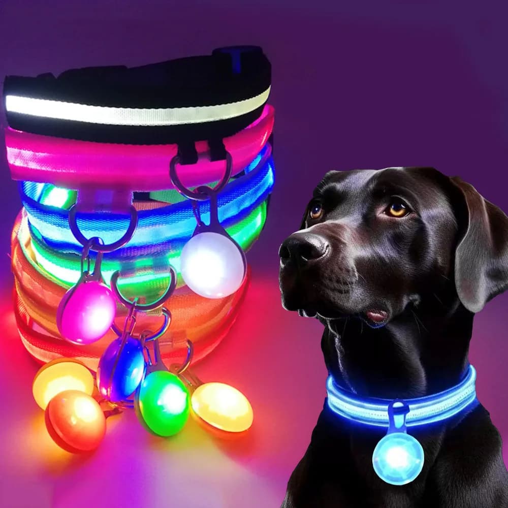 Collare per cani luminoso con ricarica USB con pendente staccabile di lusso a luce LED luminosa per cani di piccola taglia Collare di sicurezza notturno per gatti all'ingrosso
