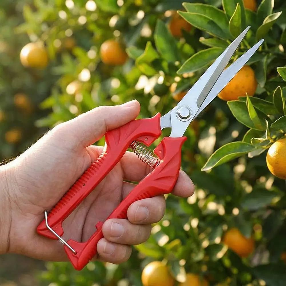 Forbici per Potatura Rami, Attrezzo da Giardinaggio Multiuso per Raccolta Frutta, Potatura Fiori ed Erbe, Strumento Pratico per la Casa