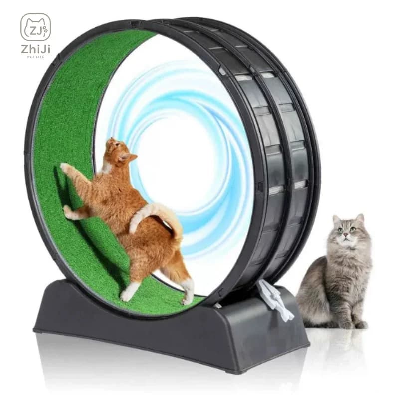 Cat exercise wheels, 39 inch indoor cat wheels