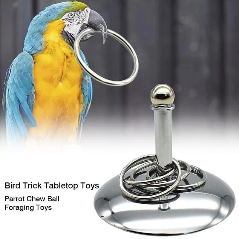 Pappagalli per uccelli Giocattoli di addestramento interattivi Sviluppo dell'intelligenza Impilabile Set di addestramento con anelli metallici Forniture per uccelli Accessori per animali domestici