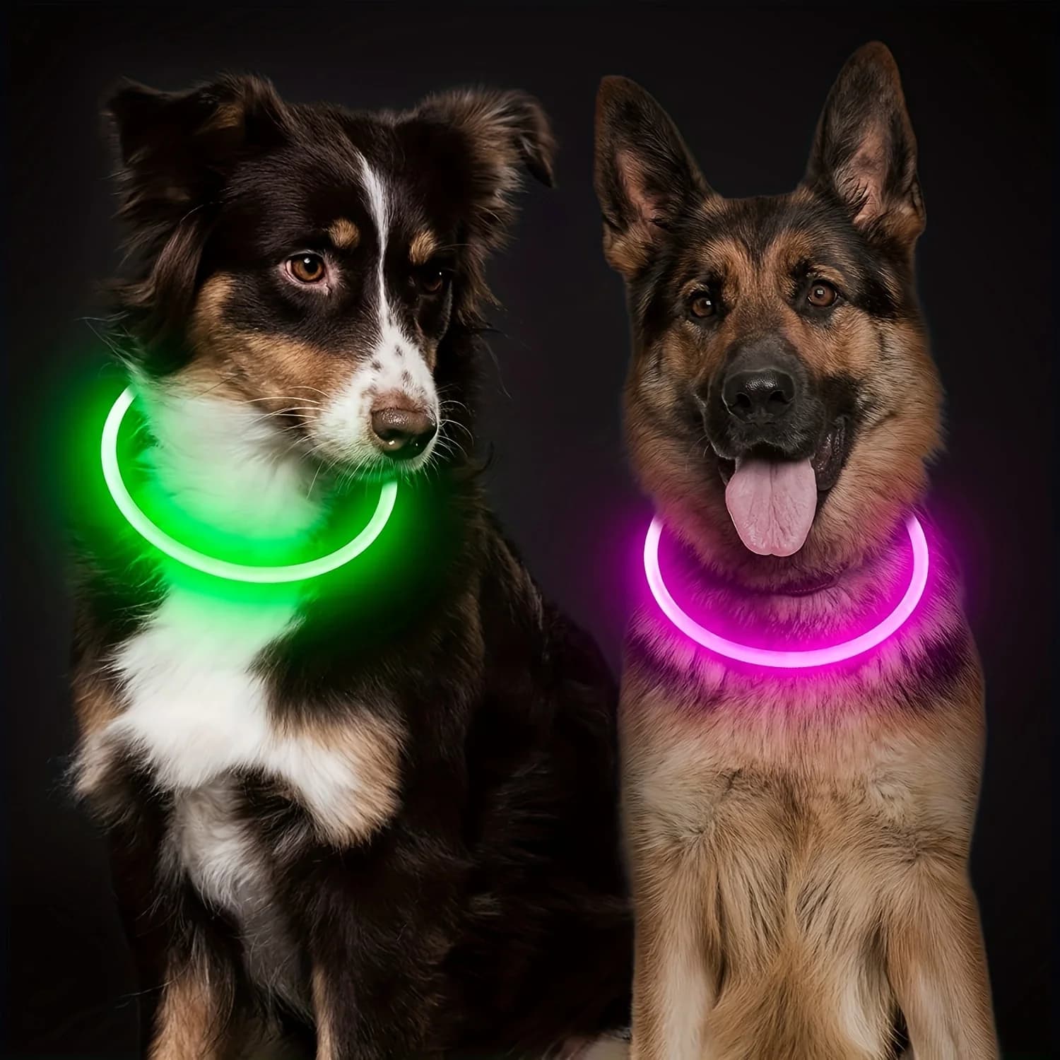 Collare luminoso a LED per cani da compagnia Collare per cani anti-smarrimento luminoso Collare per cani ricaricabile tramite USB
