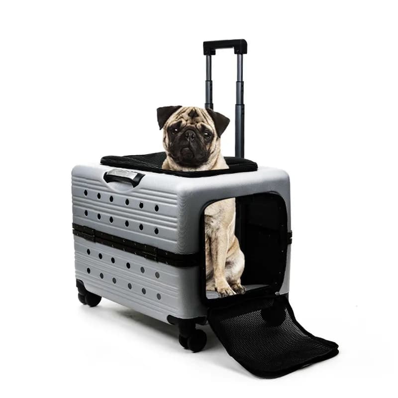 Borsa da trasporto per gatti espande borsa da viaggio trasparente per cani con ruote Articoli per animali Cestino porta gatti portatile