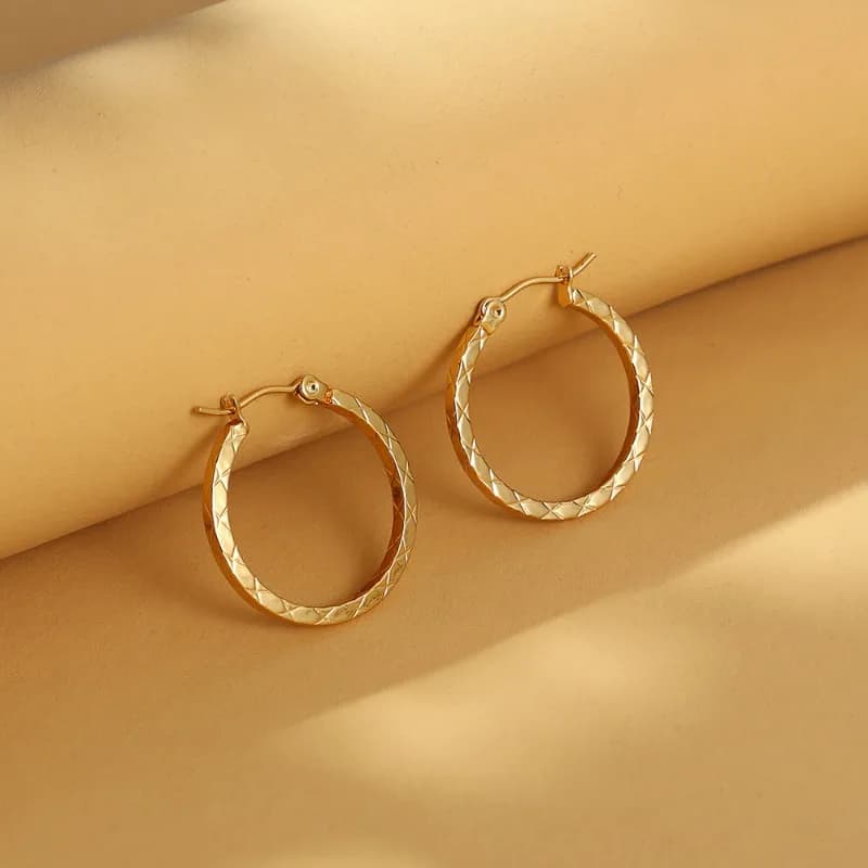 Cold Wind Large Circle Fashion Versatile Fugang Fengchao Women's Earrings Titanium Steel YE221
