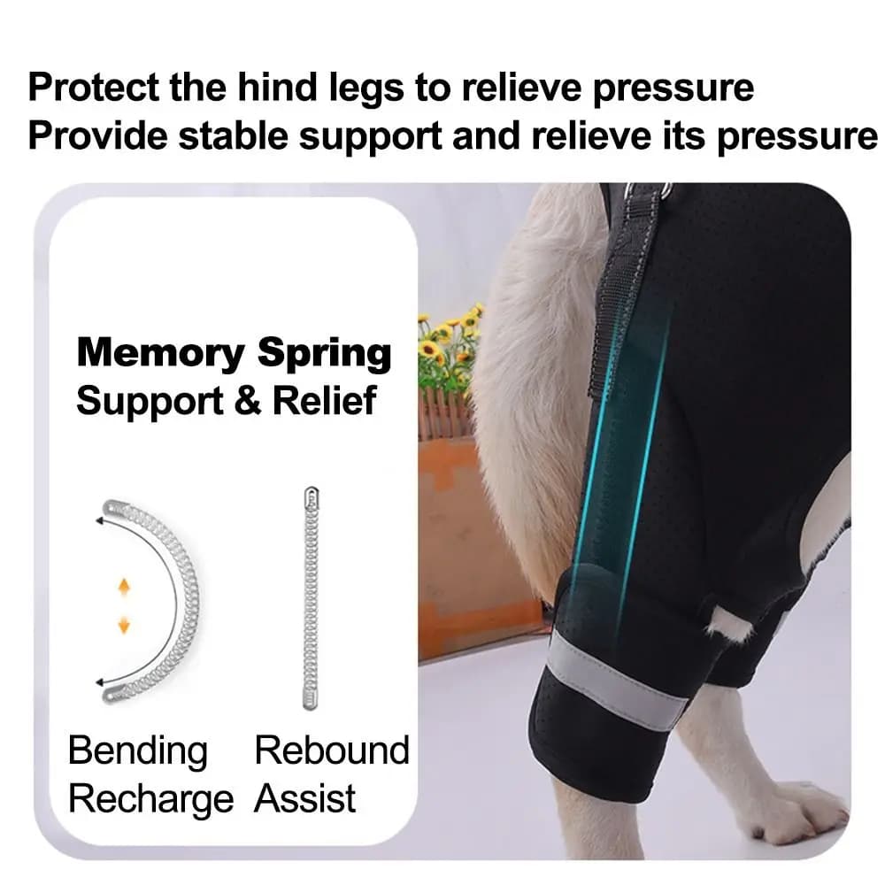Imbracatura di Supporto per Zampe Posteriori del Cane, Regolabile, Nera, con Striscia Riflettente e Maniglia Robusta, Cinghie di Supporto per Camminare