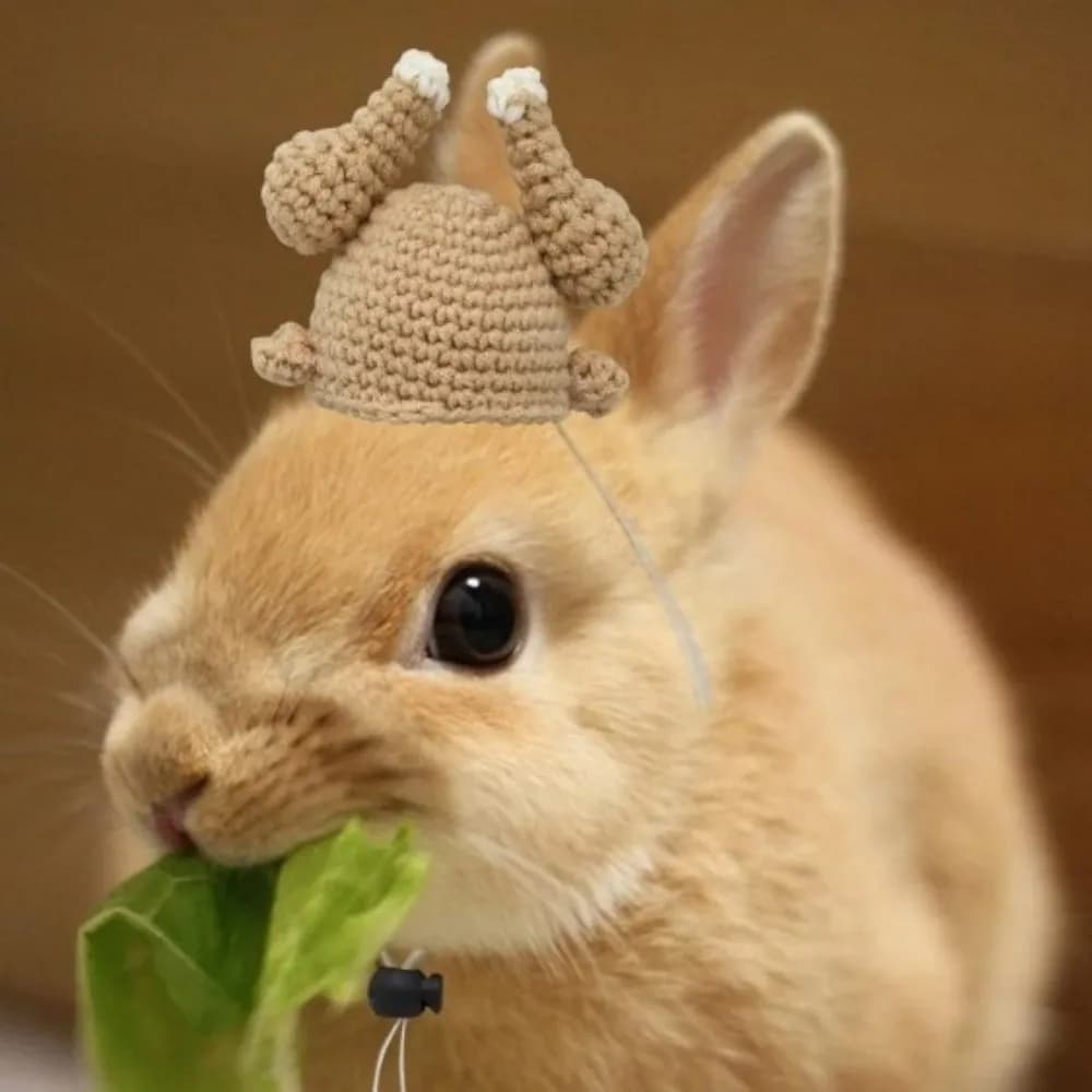 2 Pezzi Divertenti Cappelli in Lana Lavorati a Maglia a Forma di Coniglio e Tacchino, Mini Cappelli Decorativi Fatti a Mano all'Uncinetto per Criceti, Accessori Originali per Piccoli Animali Domestici
