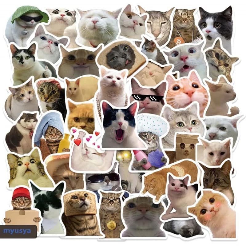 50 stickers for cats, funny cat memes, waterproof vinyl stickers for water bottles for guitar, portable phone