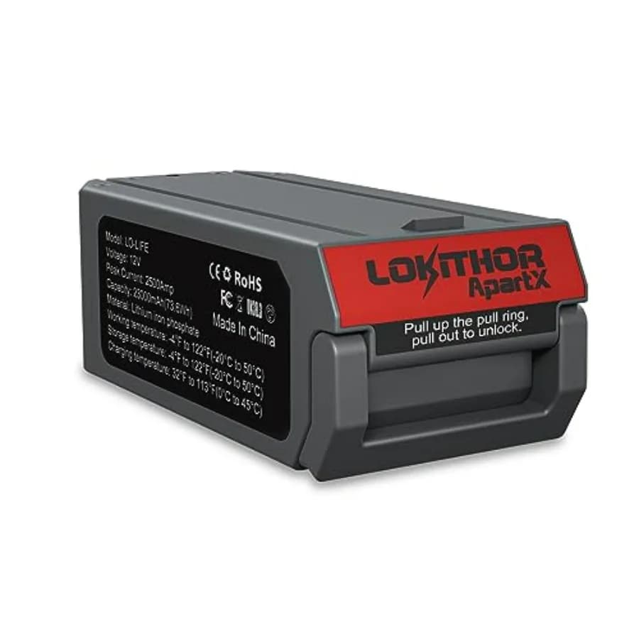 Avviatore di Emergenza Separato 12V 2500A per Batterie Life 12V 2500A Compatibile Solo con Batterie ApartX