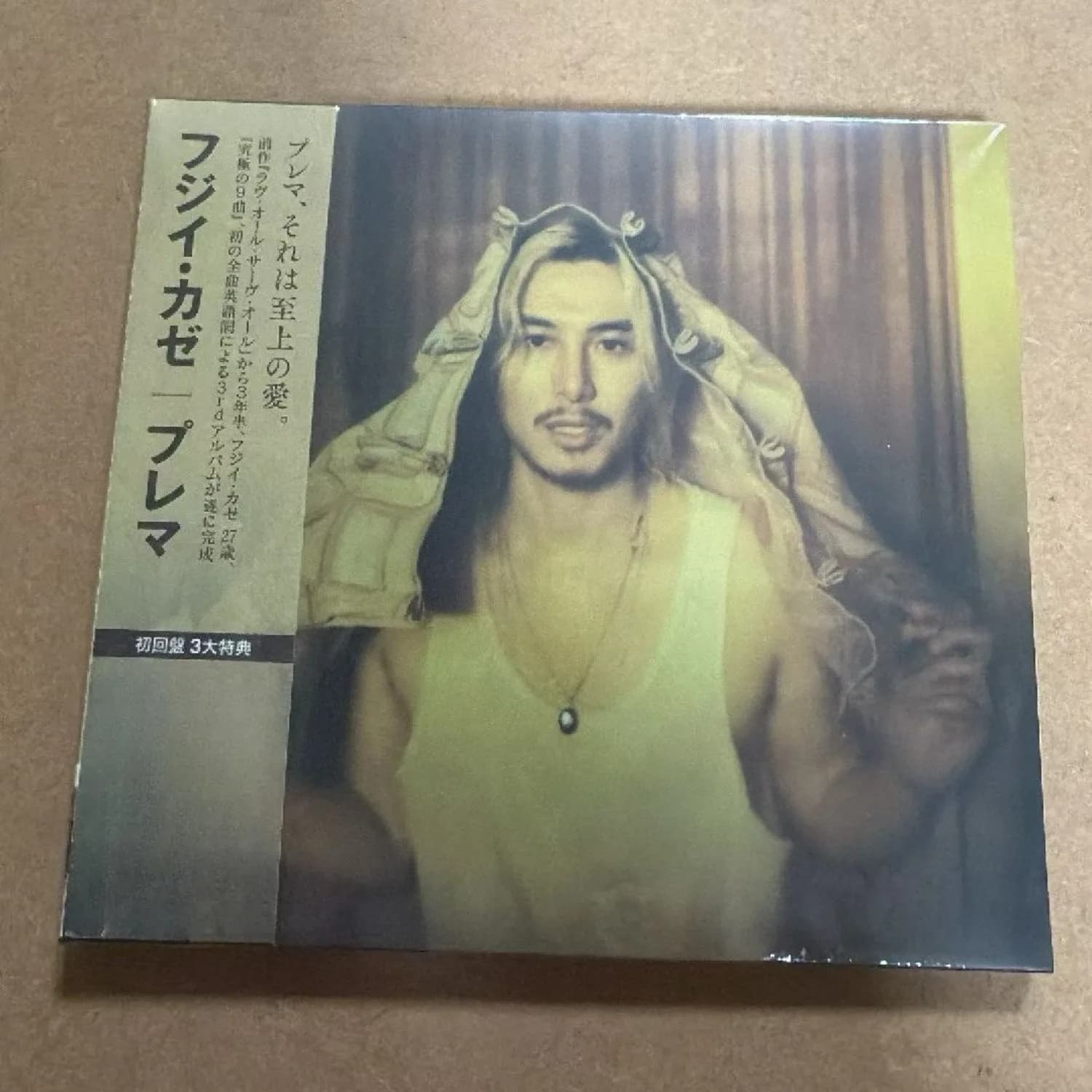 Japanese Pop Rock Audiophile CD Expressive Vocal Performance Rich Arrangement Layers Balanced Sound Texture HiFi Music Disc