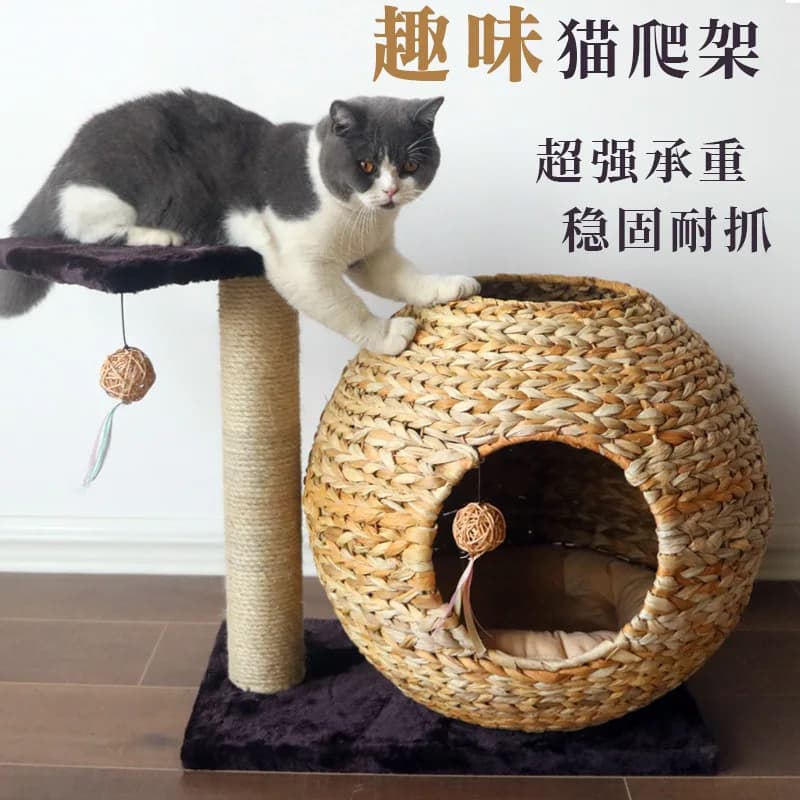 Nuova lettiera per gatti intrecciata, albero per gatti, piccolo