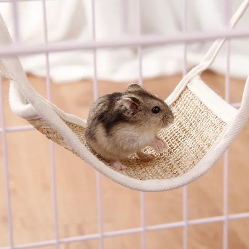 Pet Hamster Hammock Straw Mat Small Pet Sleeping Mattress Pet Cage Swing Golden Bear Squirrel Sugar Glider Pet Bed Sleeping Nest