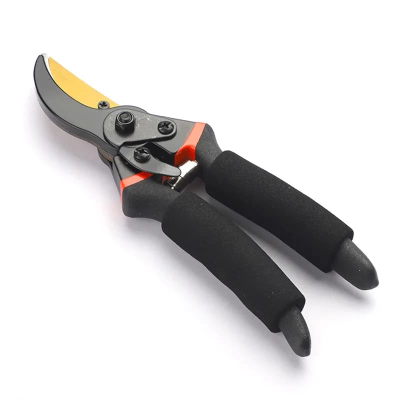 Wholesale of horticultural scissors, pruning shears for fruit trees, pruning shears for coarse garden branches, pruning for floral compositions