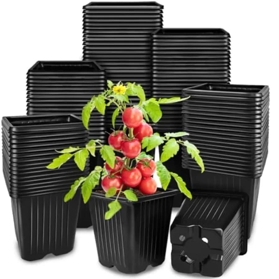 100 square pots for plants, 3.5 inch plastic vessels with drainage holes, reusable vessels for seed germination, for flowers and vegetables