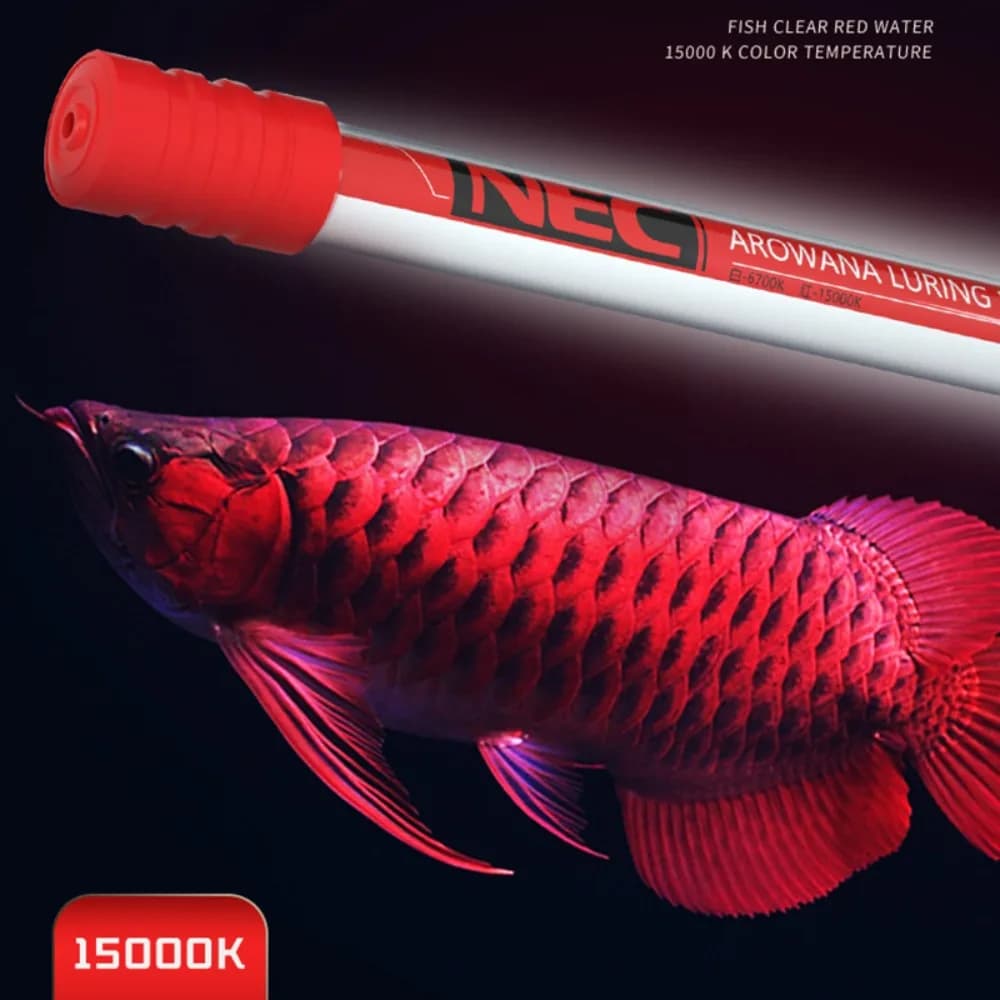 Lampada NEC-Arowana Illuminante a colori, Tubo per acquario per acquario 6700K e 15000K, Illuminazione ornamentale T8, Immersione impermeabile, Nuovo