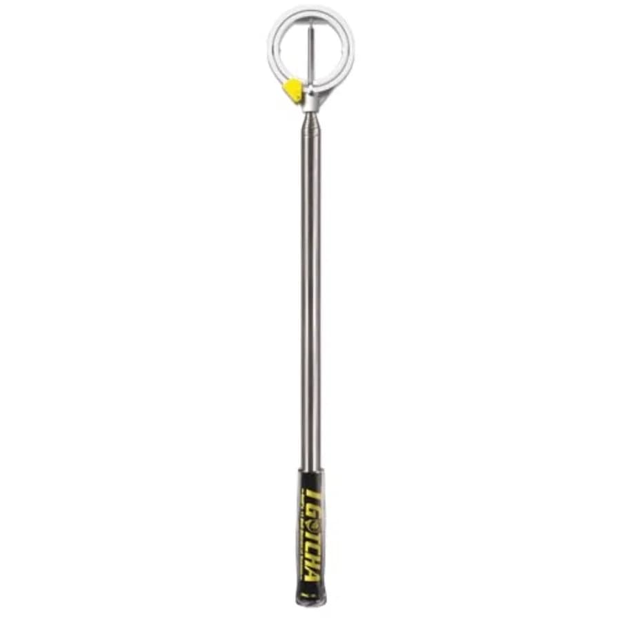 Raccoglitore Compatto di Palline da Golf in Acciaio Inossidabile per Uso su Campo da Golf, Design Compatto e Resistente, Colore Argento