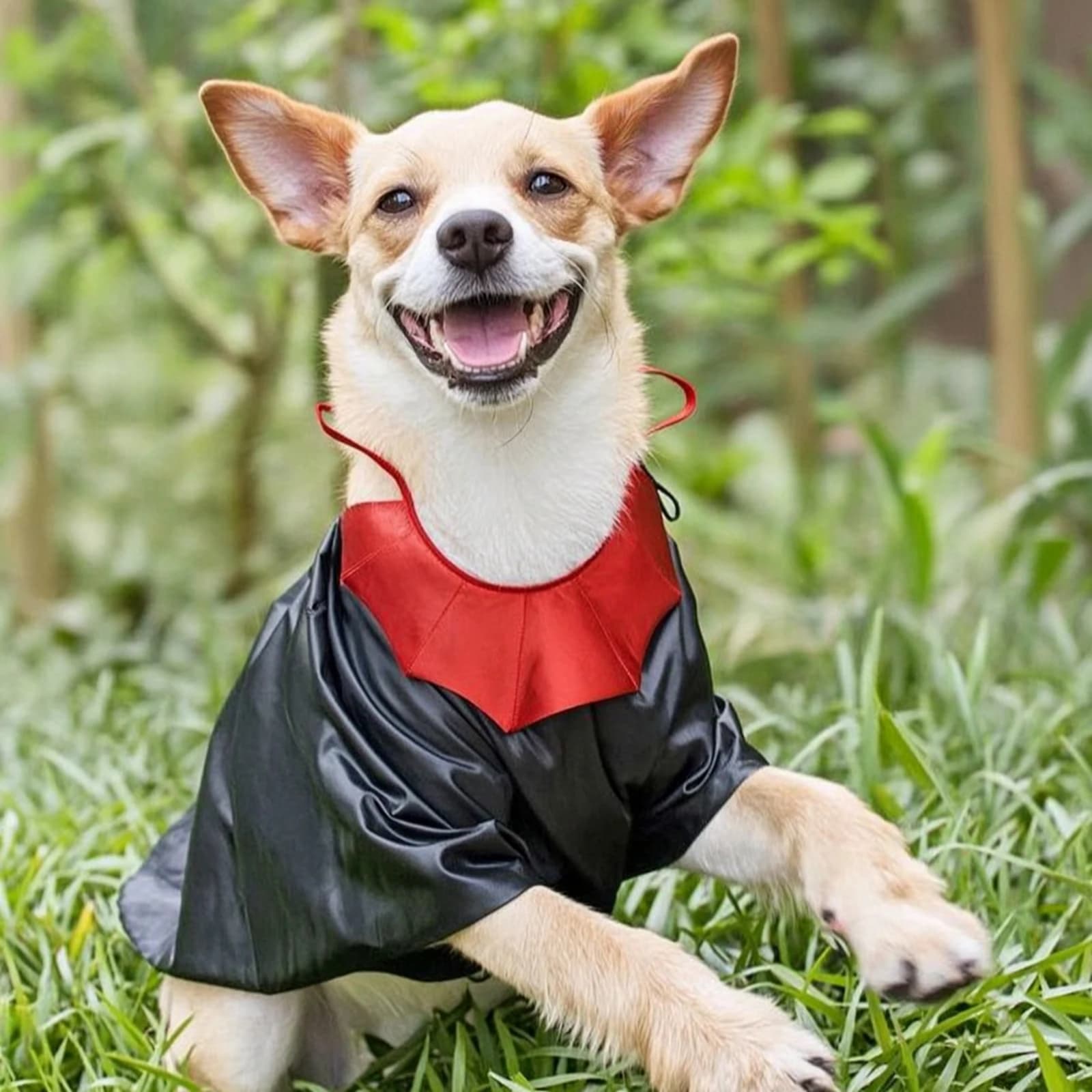 Dog Cape with Collar Satin-Like Dog Cape Cloak with Stand Collar Glossy Pet Costume Spooky for Dogs, Parties, Photoshoots