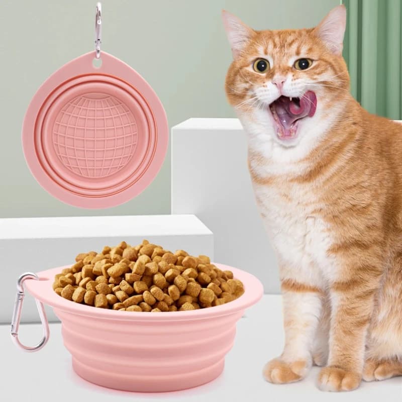 Portable Travel Outdoor Walking Pet Feeding Bowl Dog Cat Water Food Bowl Silicone Foldable Pet Bowl for Puppy Kitten Snack Bowl
