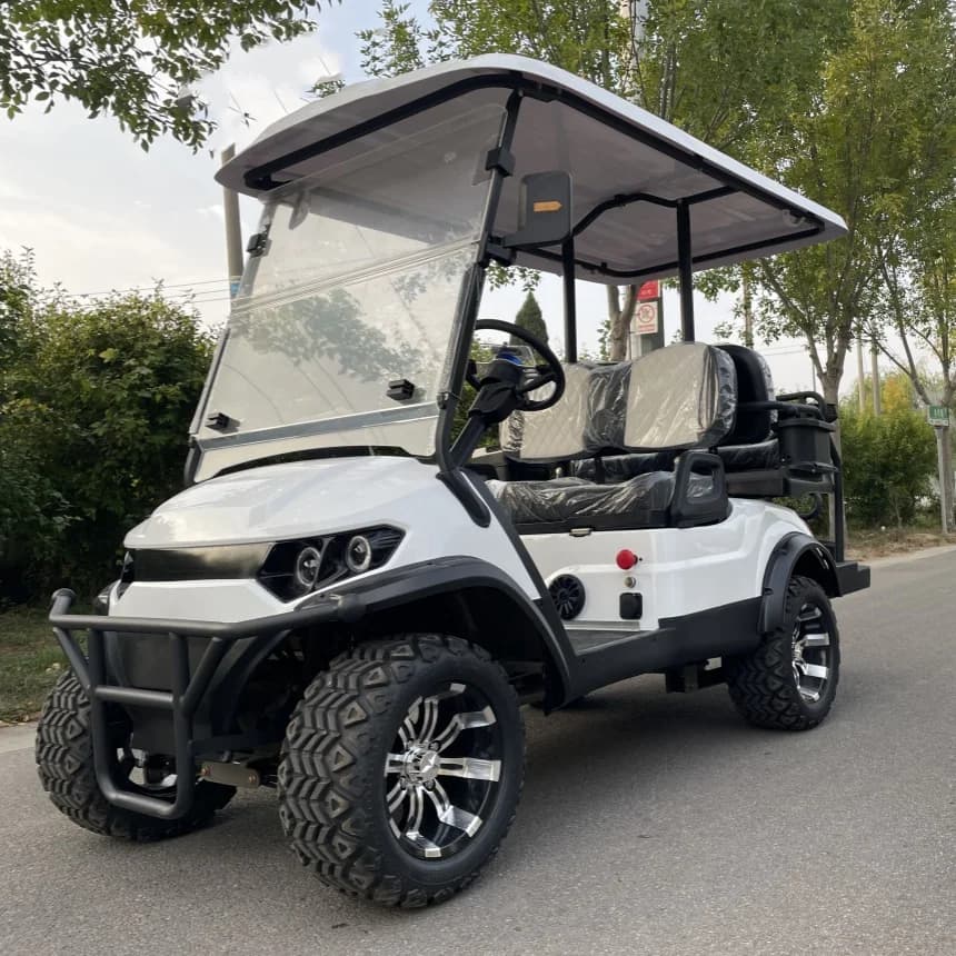 Carrelli da golf all'ingrosso personalizzati di lusso con batteria al litio, cinghie per sacca da golf, cestino e lavapalline