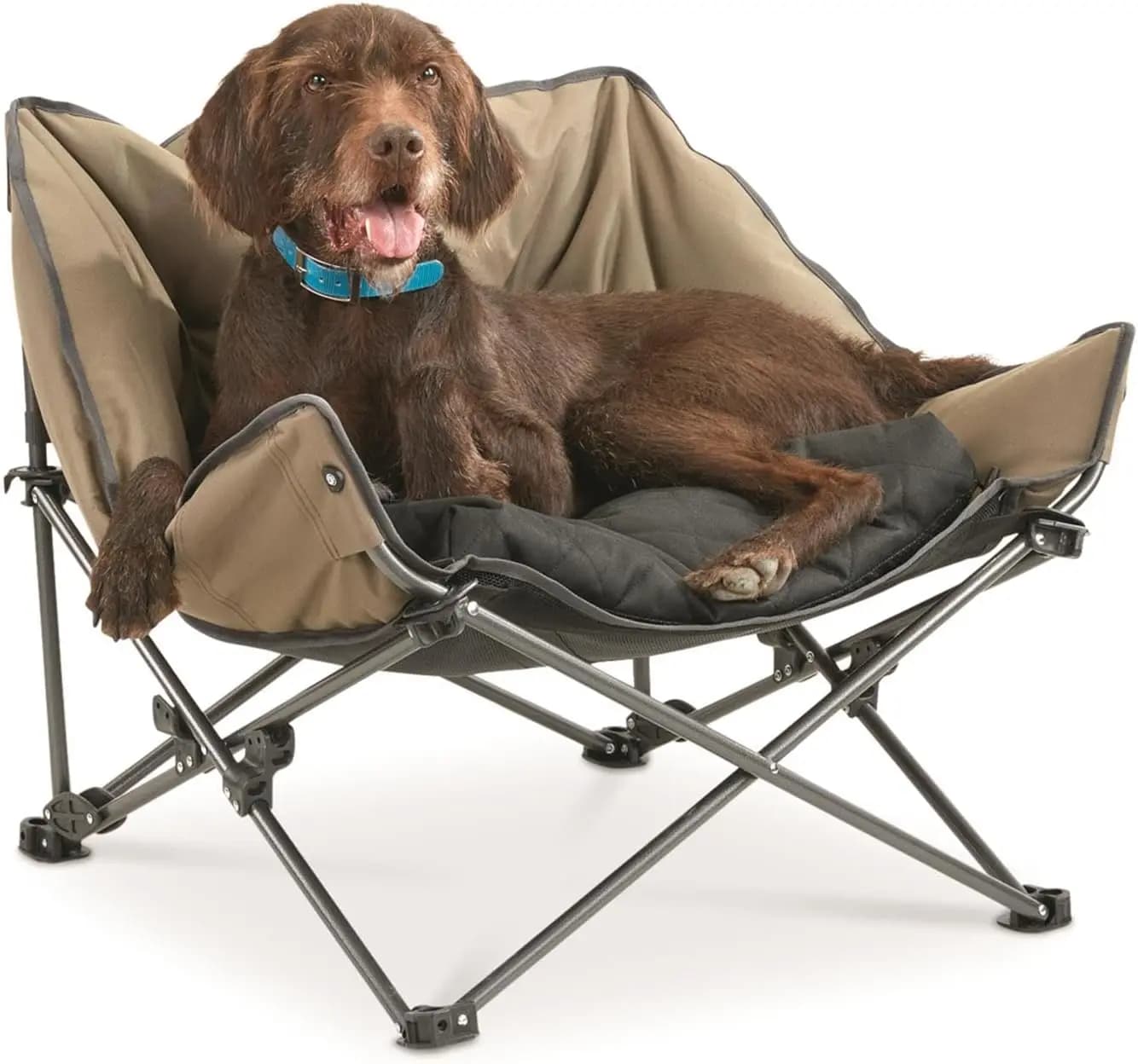 Padded Portable Pet Bed; Raised Outdoor Dog Couch, Cot Brown