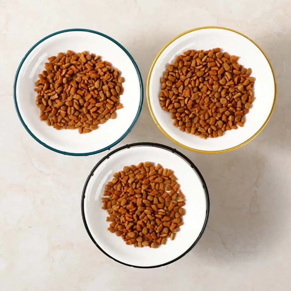 Ciotola Rialzata per Gatti e Cuccioli, Contenitore per Cibo e Acqua, per Snack e Cibo in Scatola, Accessori per Animali Domestici