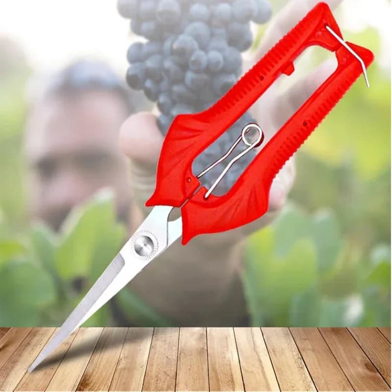 Garden pruning shears Manual garden plant harvester Fruit tree branches Bonsai tool Micro-point scissors Fruit picking shears