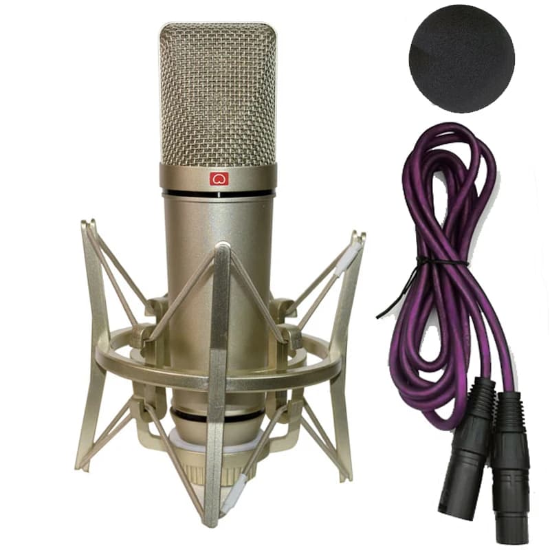 Microfono a condensatore professionale per PC Computer portatile Wired Karaoke Studio di registrazione Supporto audio Mikrofon Audio Mike Sing