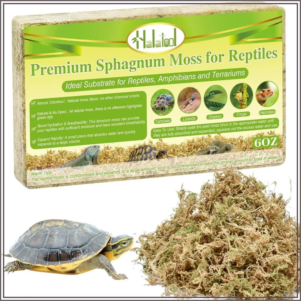 6OZ Natural Sphagnum Moss Substrate for Reptiles - Terrarium Bedding, 72H Moisture Retention, Safe for Bearded Dragons, Geckos & Snakes