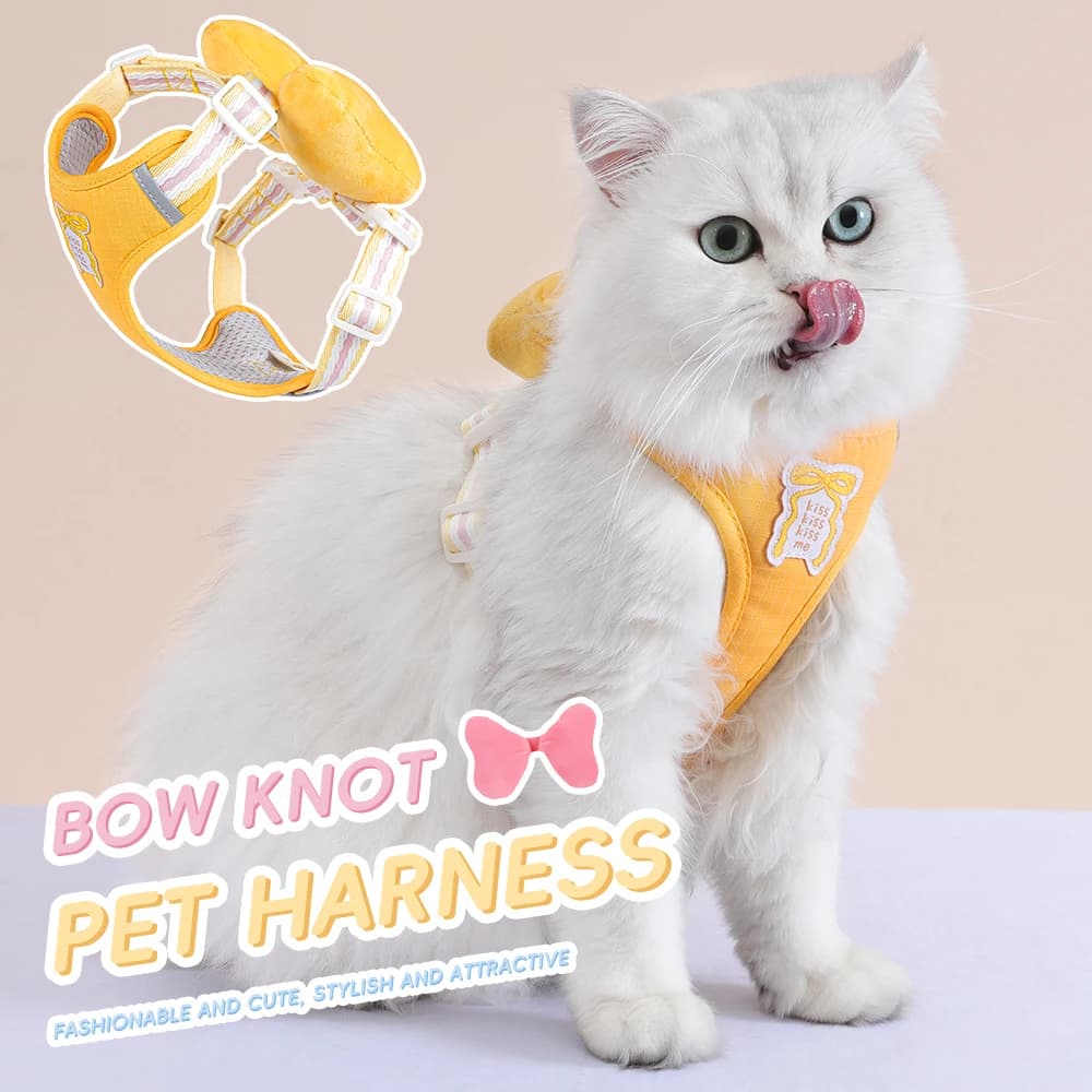 Set di gilet e guinzaglio per cani e gatti alla moda per piccoli animali con imbottitura comoda e tracolla regolabile