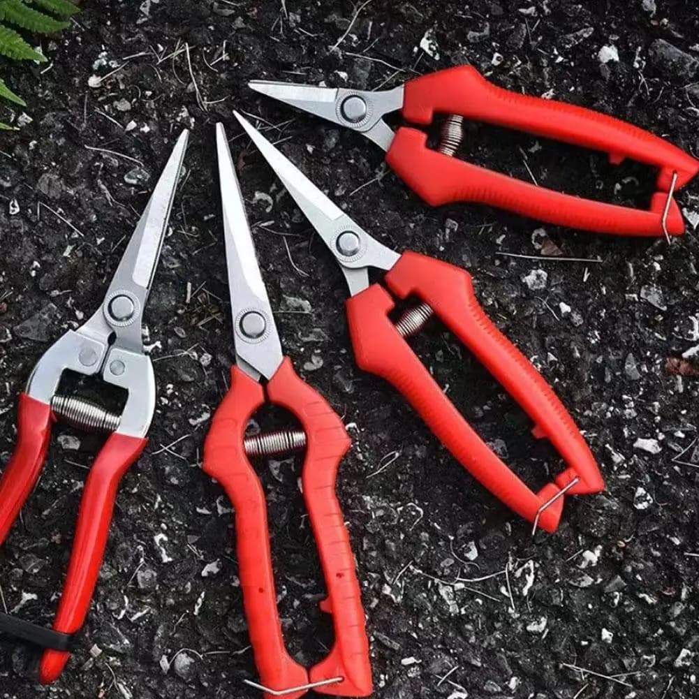 Forbici da Giardinaggio, Cesoie per Bonsai, Potatori con Impugnatura Antiscivolo per Potatura Fiori, Raccolta Frutta, Giardinaggio, Uso Domestico