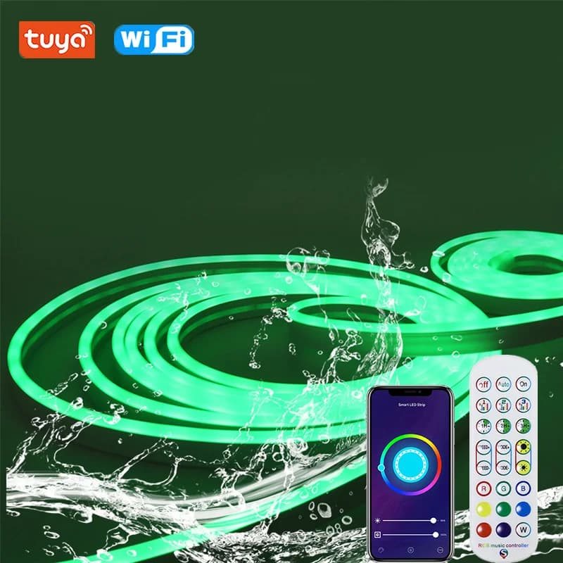 Luce al neon RGB 12V con telecomando/Bluetooth/WiFi Dimmerabile Nastro LED RGB Corda al neon 1M 2M 3M 4M 5M Lampada per la decorazione della casa