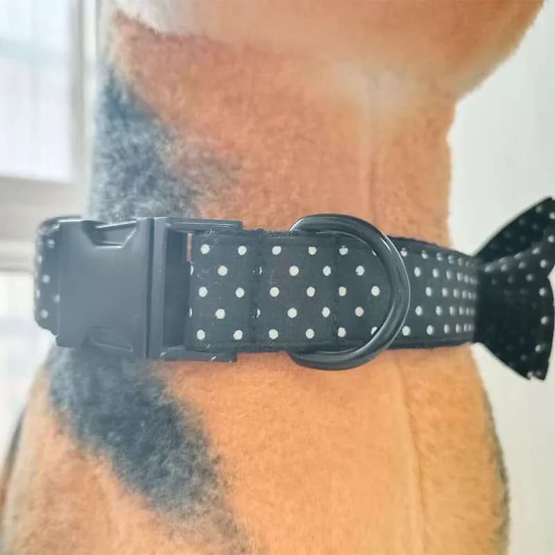 20 Pezzi/Lotto Anelli a D in Metallo per Borse, Accessori, Fibbie per Cinture, Collari per Cani, Guinzagli, Borse a Mano, Zaini, Chiusure per Cucito
