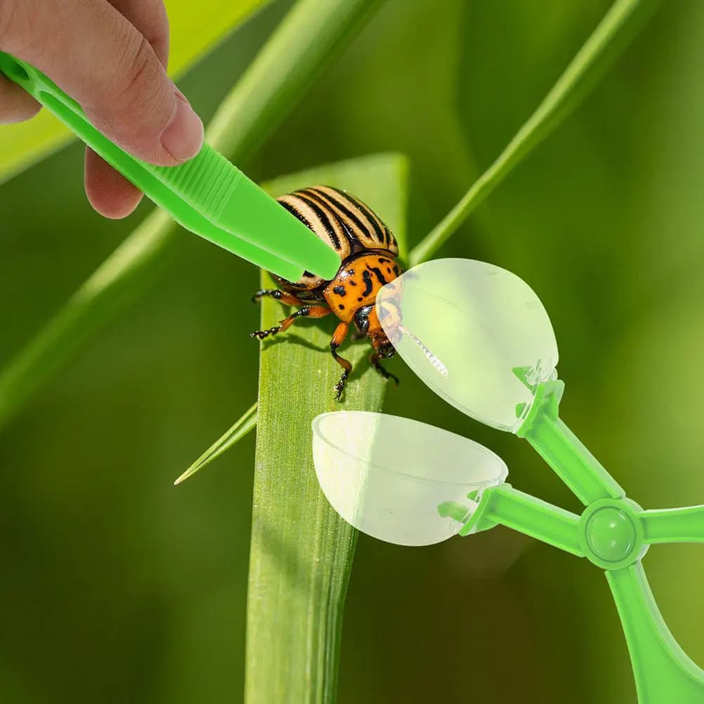 Set di 12 Pinze per Catturare Insetti per Bambini, Strumento per Esplorazione all'Aperto, Ausilio per l'Apprendimento della Natura, Sviluppo delle Abilità Cognitive, in Plastica
