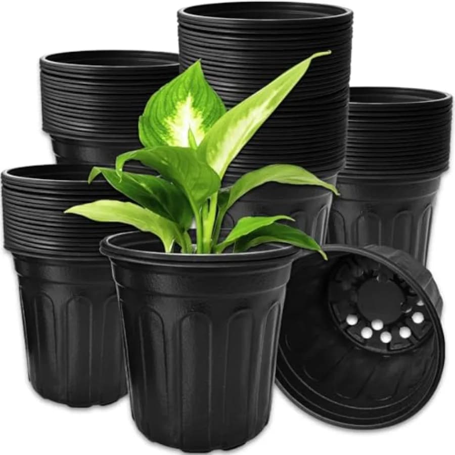 Flexible Vases for Vivai, Morbida Plastic Containers Reinforced for Semina, Plastic Vases with Forum for Plants