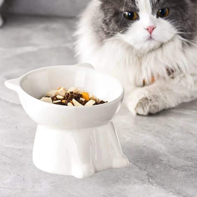 Ciotola rialzata per gatti Kangdarpet, ciotola in plastica anti-ribaltamento con bordo inclinato, protezione del collo, cibo per gatti