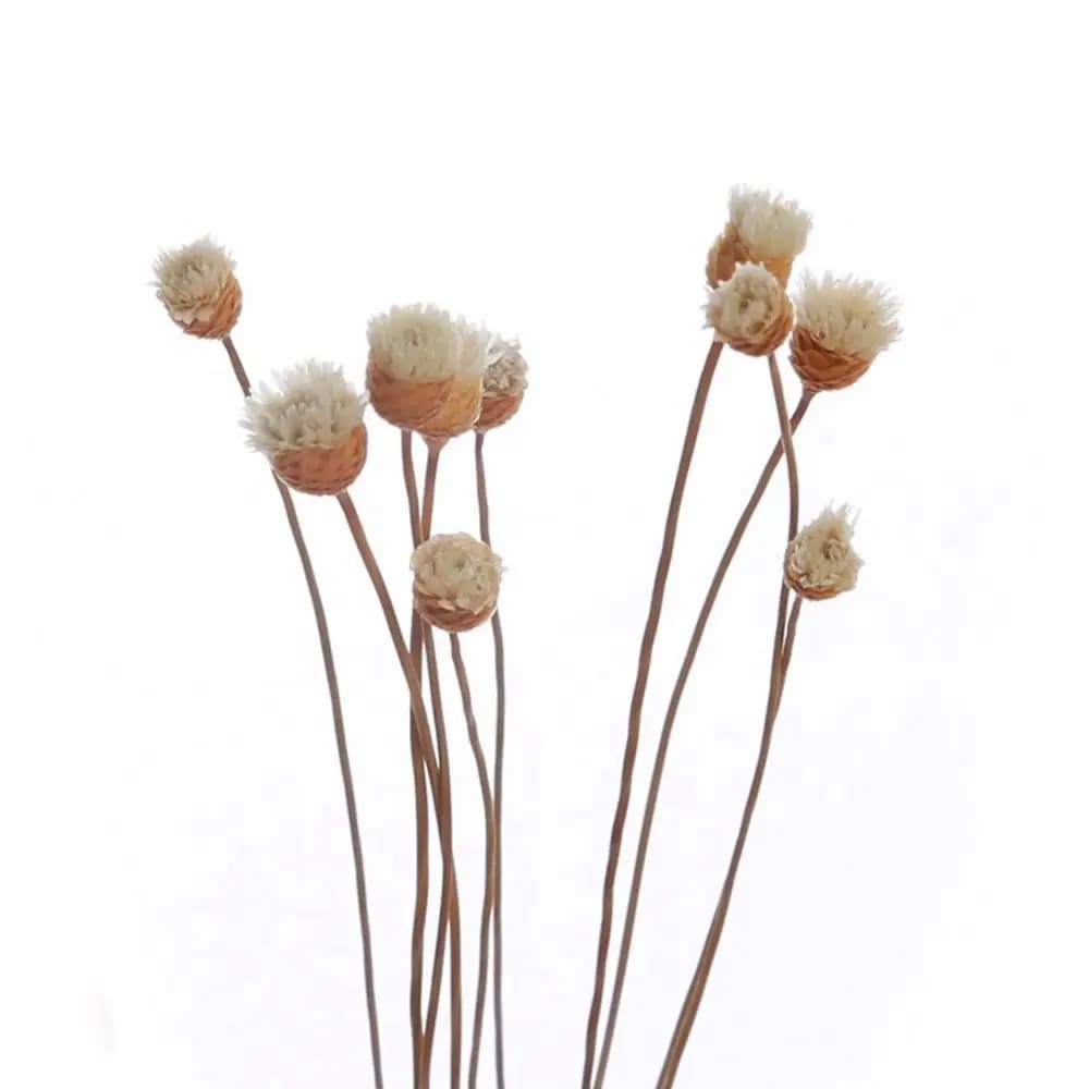 For Home For Aromatherapy Living Room Handmade Fragrance Diffuser Sticks Dried Flowers Aromatic Incense Artificial Flower