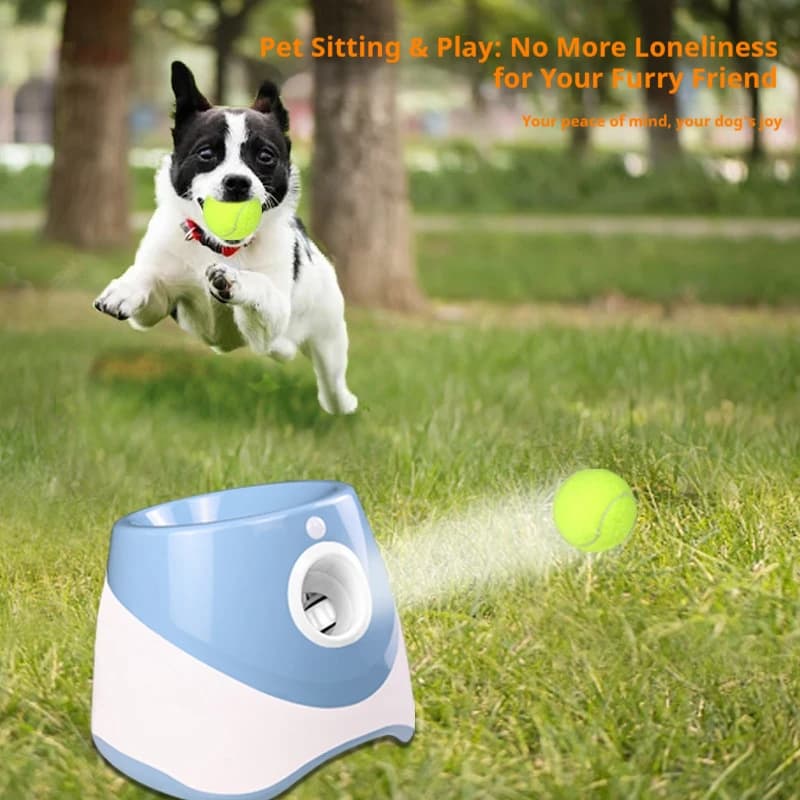 Auto Cane Gatto Treno Palla Lanciatore Animali Domestici Giocattoli Per Cani Gatti Addestramento Giocare Giocattolo Divertente Cane Palla Da Tennis Lanciatore Alimentato A Batteria Animale Domestico