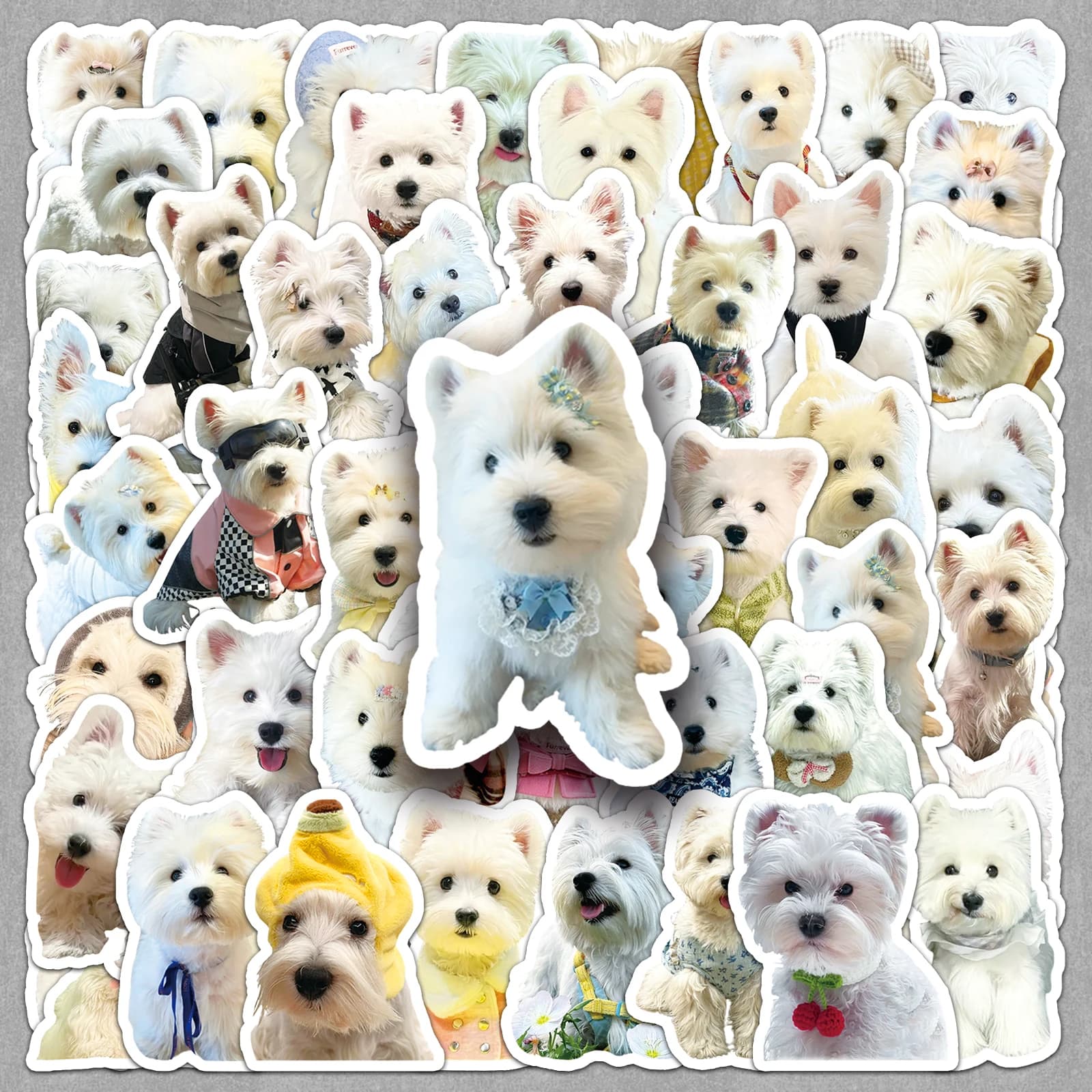 50pc Cartoon Funny West Highland White Terrier Graffiti Stickers Suitcase Laptop Skateboard Personalized Stickers