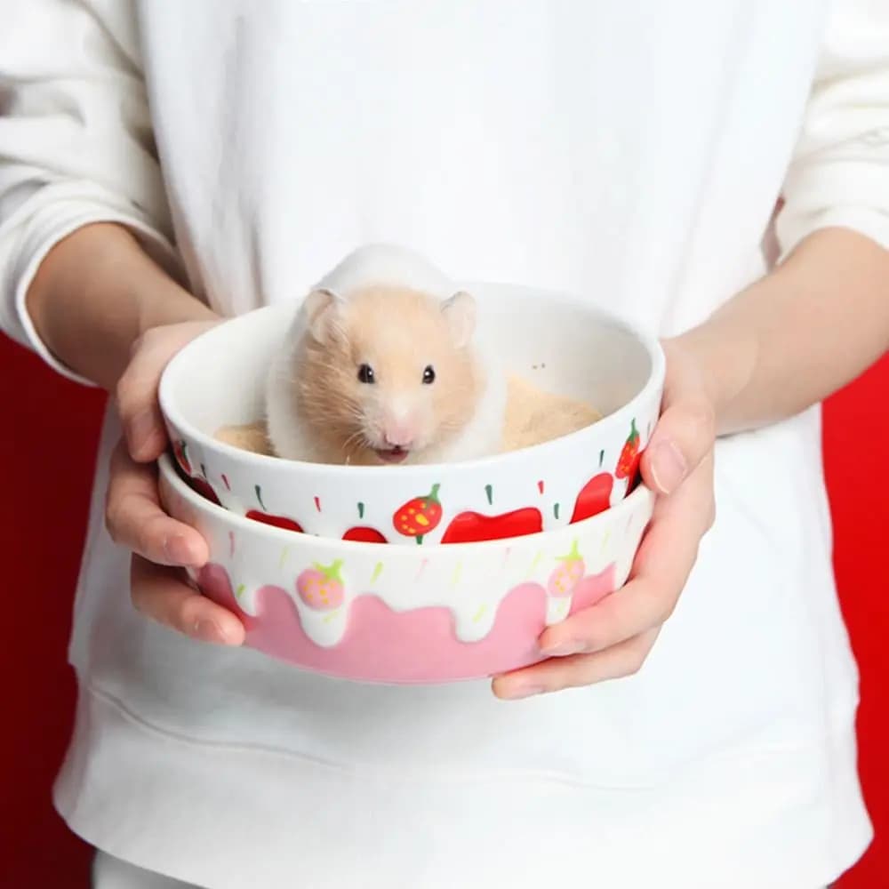 Ciotola in Ceramica per Ratti, Furetti, Gerbilli, Chinchilla, Accessori per Animali Domestici, Contenitore per Cibo e Acqua per Criceti