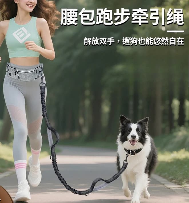 Anti-shock racing dog brace – Hand-free multifunctional retractable waist belt in reflective nylon, anti-deflagrant swab