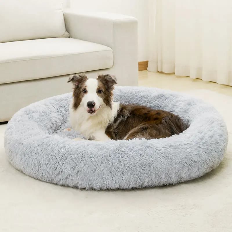 Letti per cani morbidi Casa morbida peluche lunga Il miglior letto per cani da compagnia per cani Cestino Prodotti per animali Cuscino Letto per gatti Tappetino per gatti Animali Divano per dormire