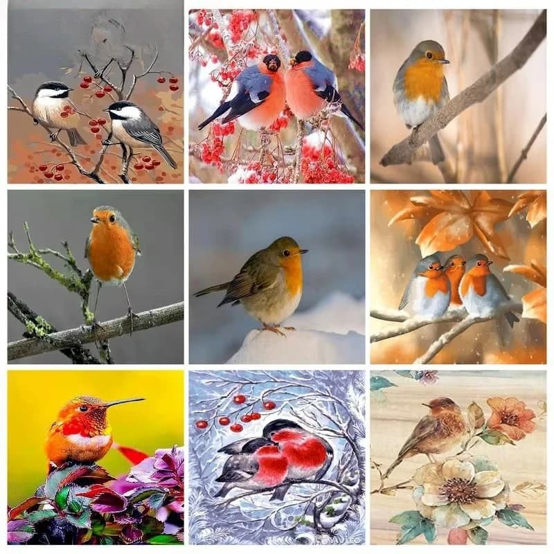 1pc frameless Paint By Numbers Kits On Canvas Birds DIY less 60x75cm Oil Painting By Numbers Animals Hand Painting Draw Numbers