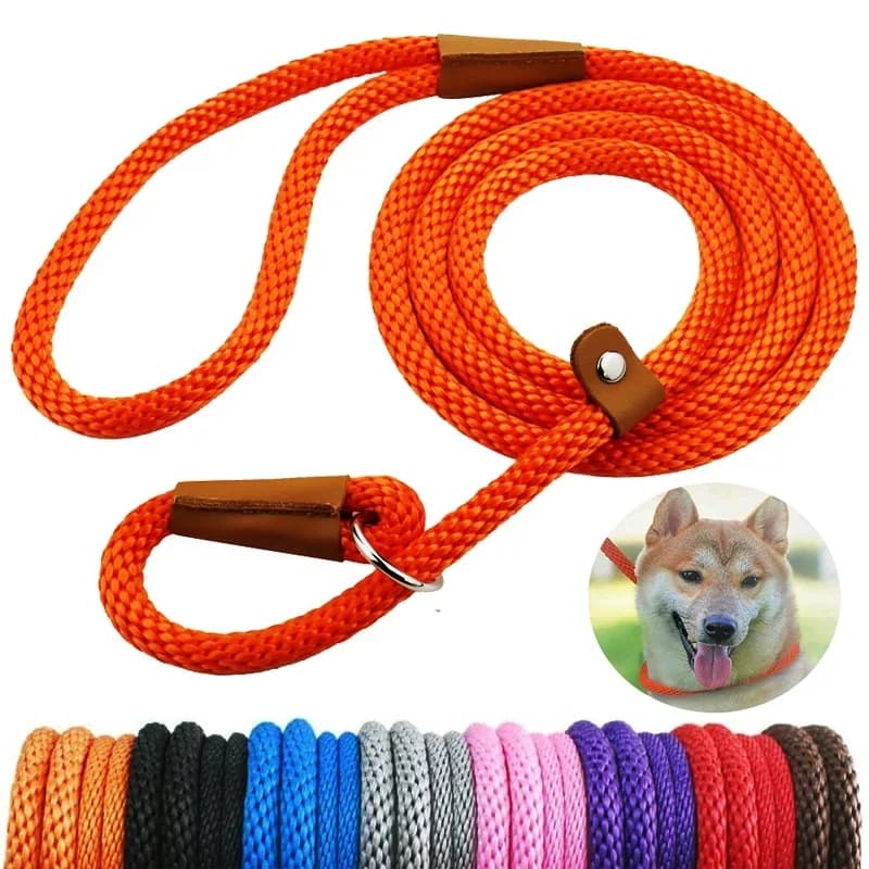 Guinzaglio e Collare 2 in 1 per Cani in Nylon Resistente con Catena a P, Collare Regolabile a Loop, Comodo per Animali Domestici di Taglia Media e Grande