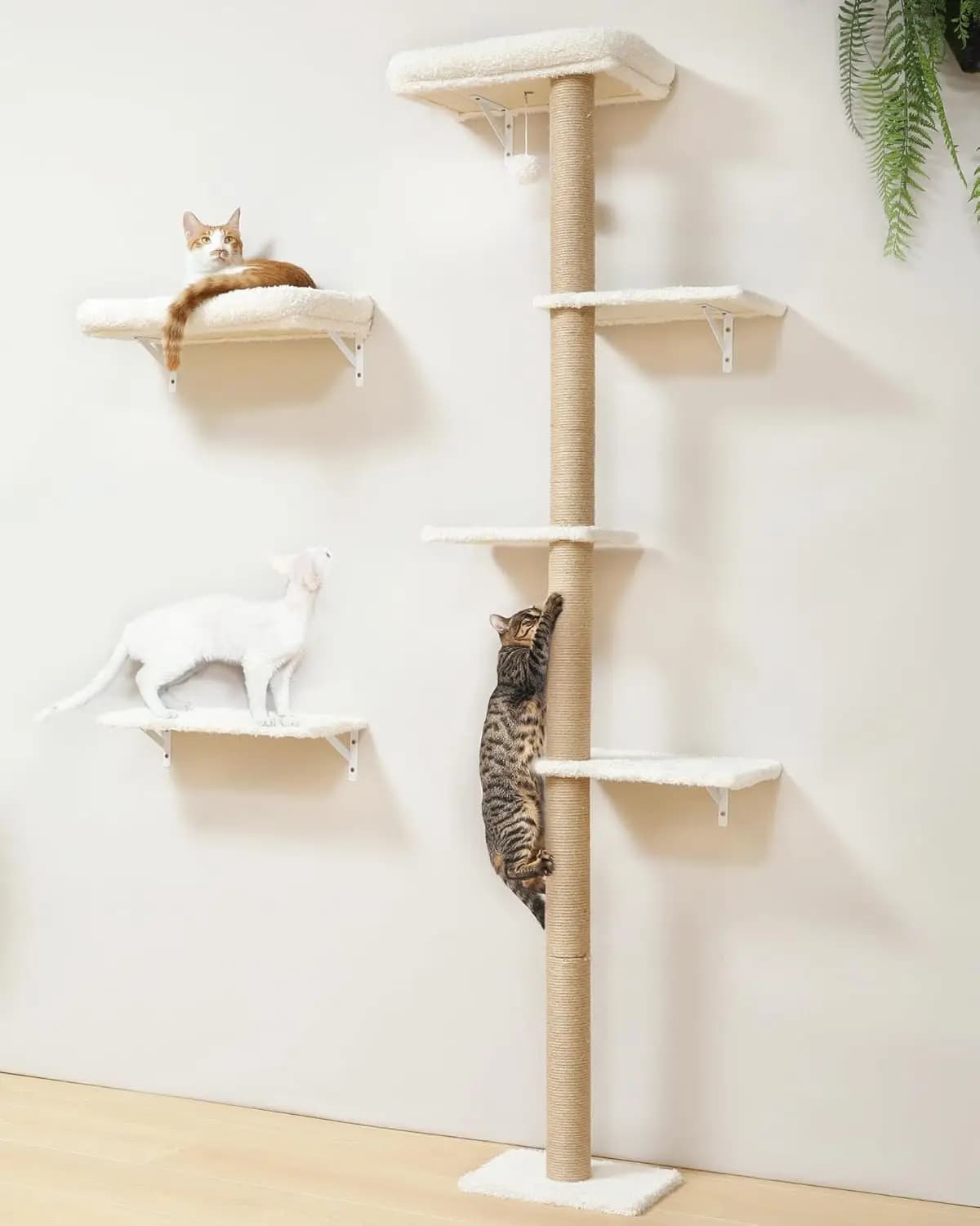 Mensole da Parete Stabili per Gatti con Cuscino Morbido, Set per Arrampicata Salvaspazio per Cartongesso da 16 Pollici in Beige