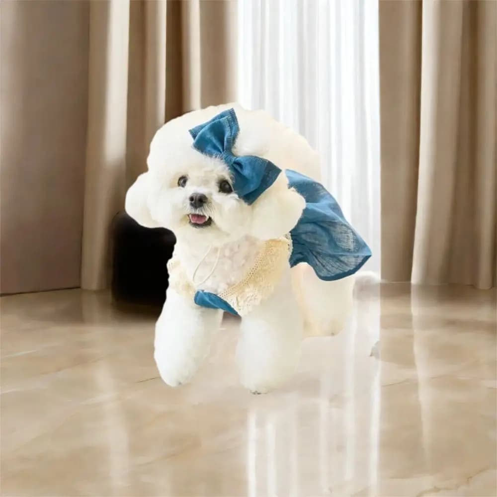 Forniture per animali domestici Abito in denim di pizzo per animali domestici Vestiti morbidi e traspiranti per animali domestici Comodo e sottile gonna da principessa per gatti Cucciolo