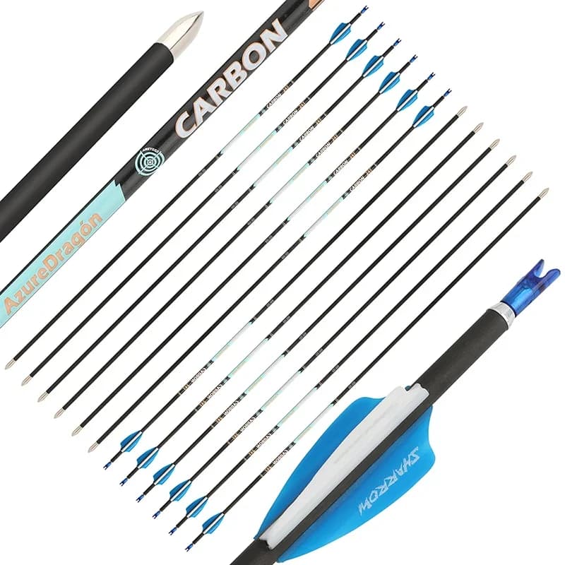 Frecce in Carbonio Puro ID4.2mm SP300-1000 con Punta Fissa e Alette in Gomma per Tiro con Arco Ricurvo e Compound, per Competizioni e Tiro al Bersaglio, Confezione da 6 Pezzi