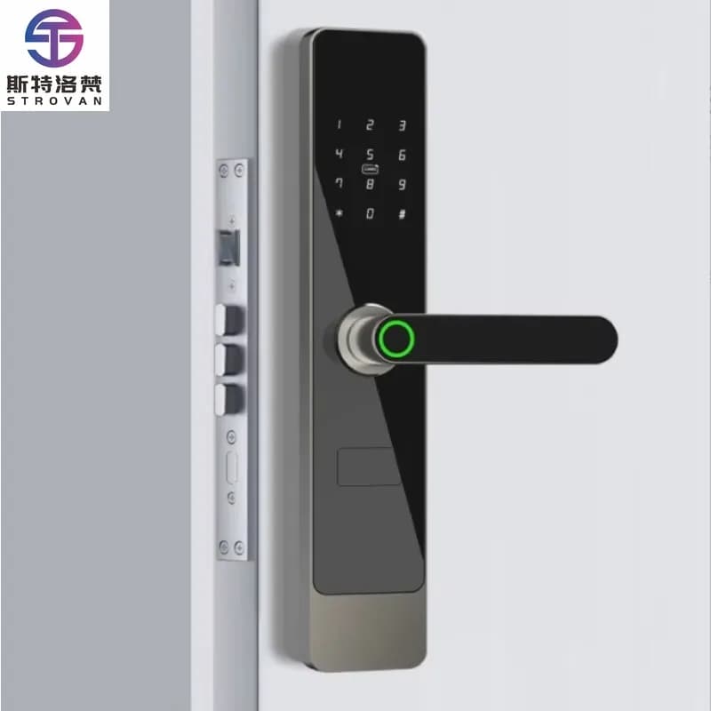 Smartlock collegato all'APP Smart Lock in lega di alluminio per porte in legno Caratteristiche Opzione scheda di memoria per archiviazione dati cloud