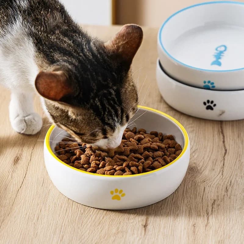 Ciotola per cani in ceramica Ciotola per cibo per cani antiscivolo e antiribaltamento per gatti per proteggere la colonna vertebrale cervicale Accessori per piccoli animali domestici